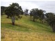 Lot 6 Clifton Vale Road, Dysart TAS 7030
