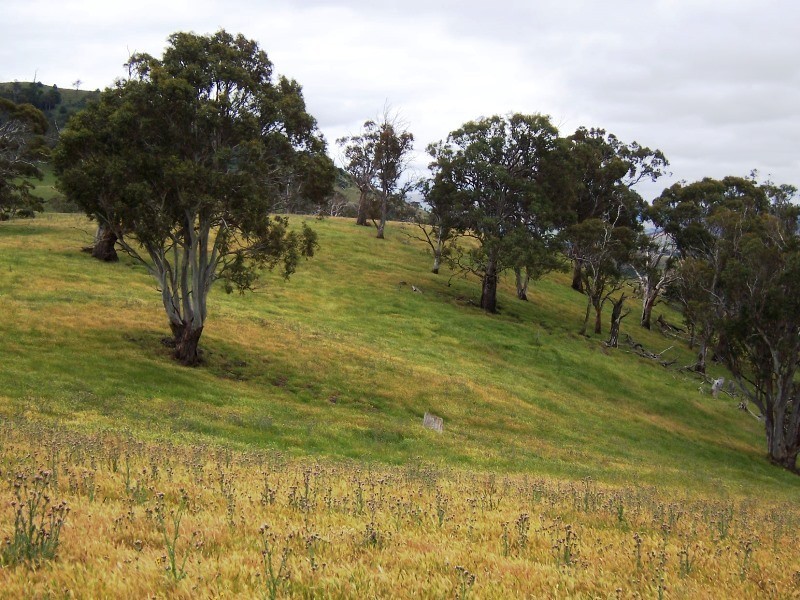 Lot 6 Clifton Vale Road, Dysart TAS 7030
