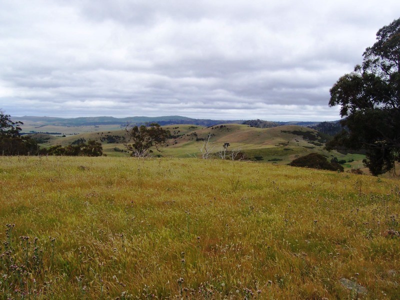 Lot 6 Clifton Vale Road, Dysart TAS 7030