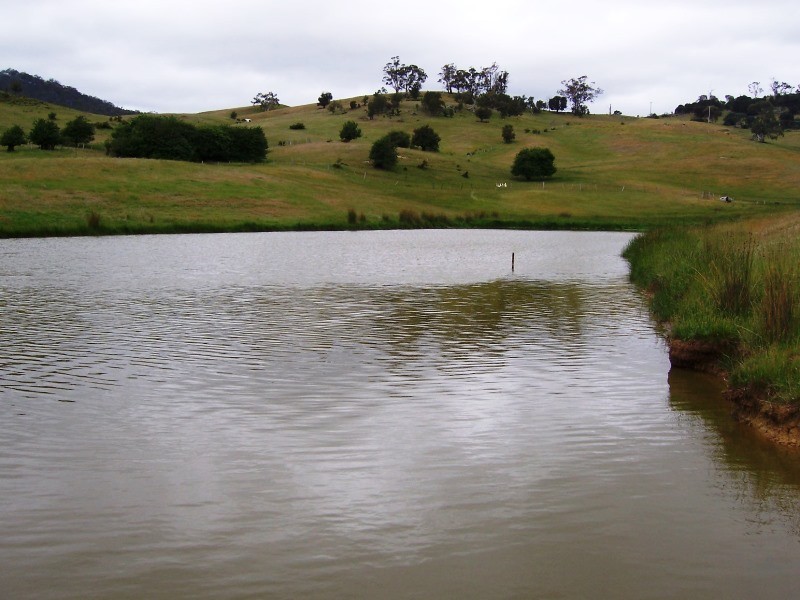 Lot 7 Fosters Road, Dysart TAS 7030