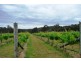 166 Magazine Road, Dilston TAS 7252
