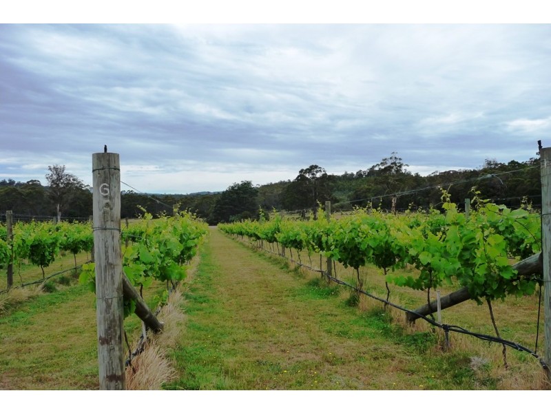 166 Magazine Road, Dilston TAS 7252