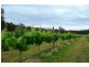166 Magazine Road, Dilston TAS 7252