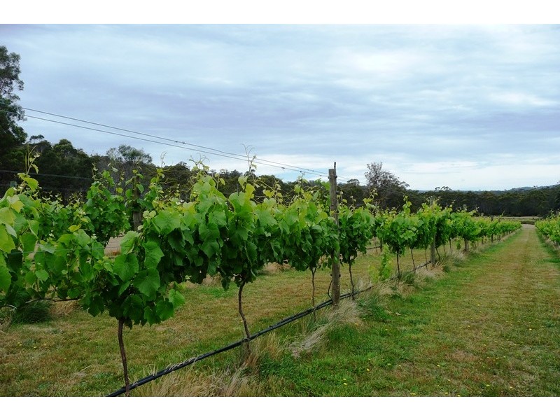 166 Magazine Road, Dilston TAS 7252