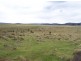 . Lyell Highway, Bronte Park TAS 7140