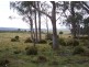 . Lyell Highway, Bronte Park TAS 7140