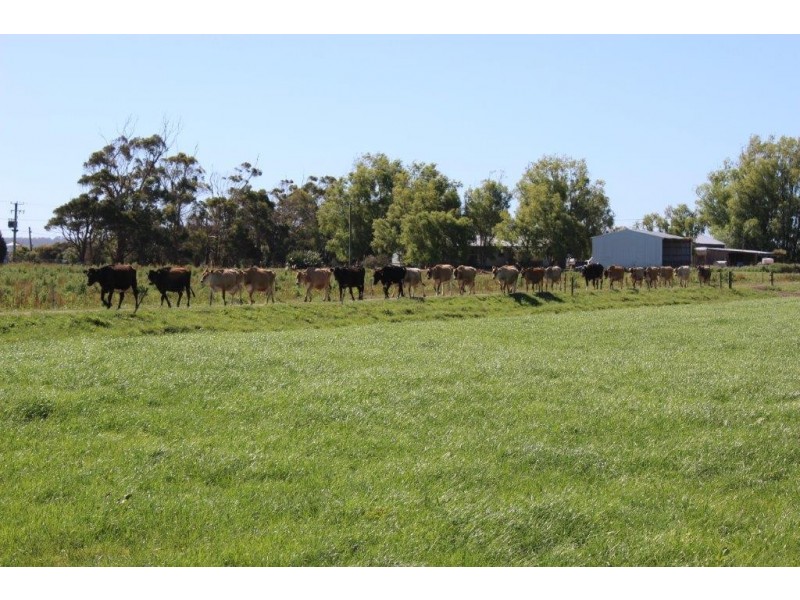 100 Park Road, Togari TAS 7330