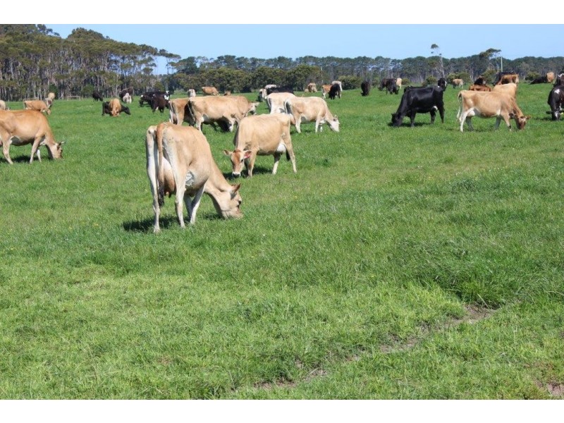 100 Park Road, Togari TAS 7330