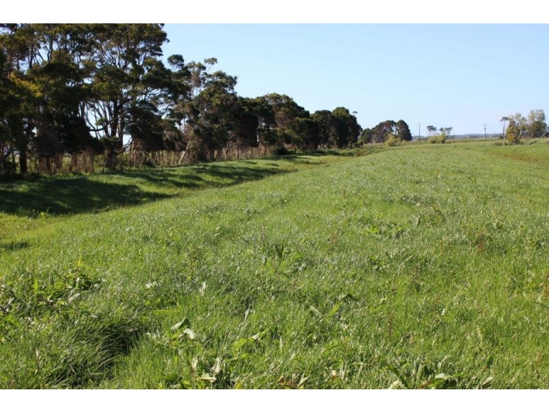 100 Park Road, Togari TAS 7330