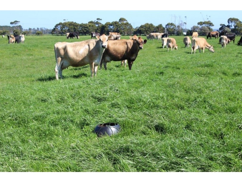 100 Park Road, Togari TAS 7330