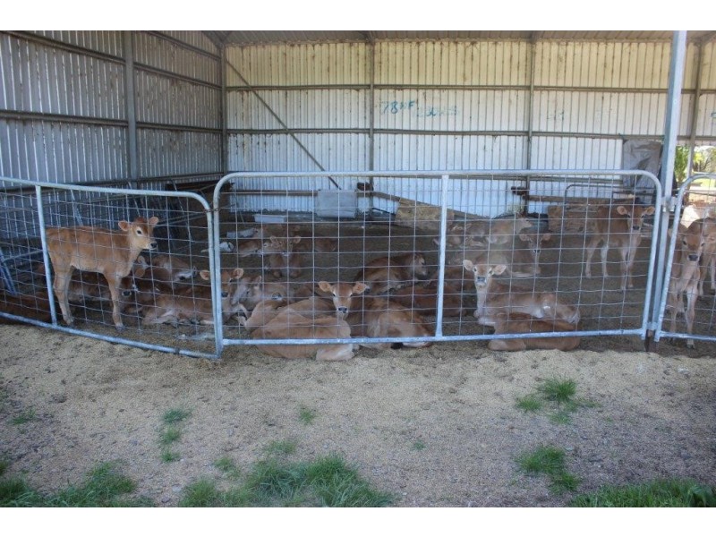 100 Park Road, Togari TAS 7330