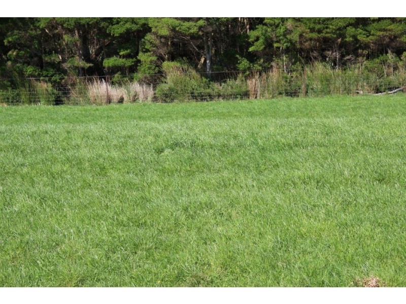 100 Park Road, Togari TAS 7330