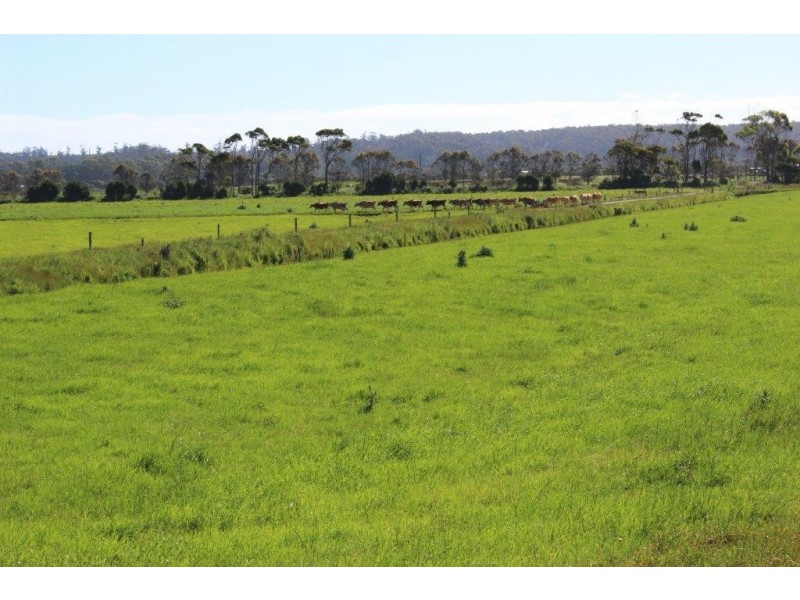 100 Park Road, Togari TAS 7330