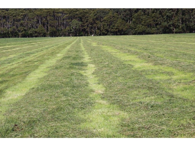 100 Park Road, Togari TAS 7330