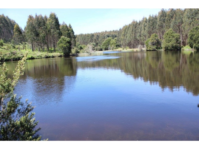132 Maguires Road, Nabageena TAS 7330