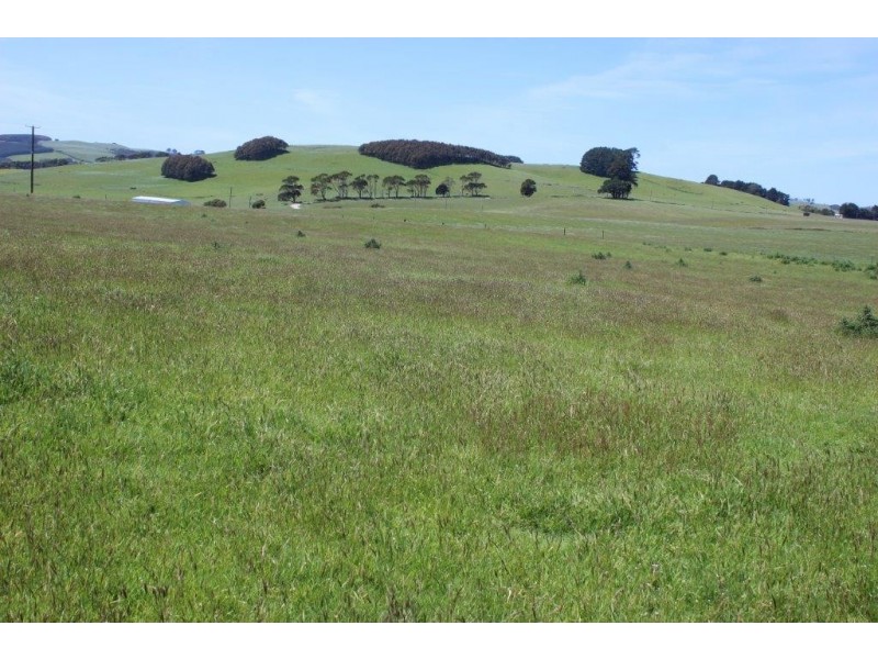 132 Maguires Road, Nabageena TAS 7330