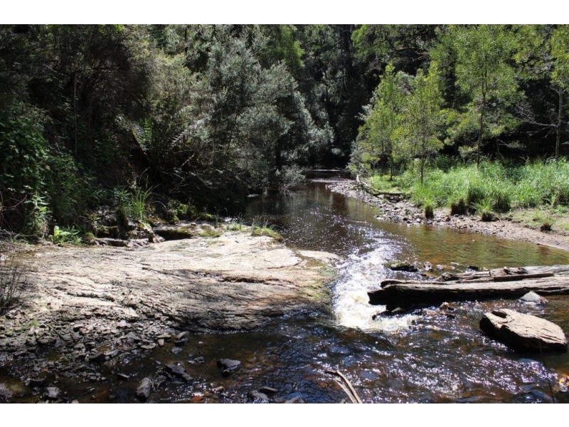 132 Maguires Road, Nabageena TAS 7330