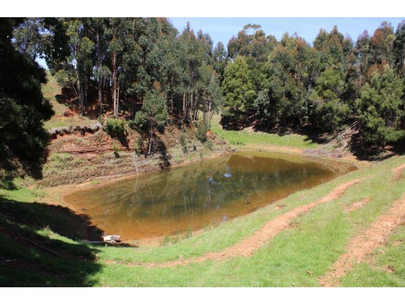 132 Maguires Road, Nabageena TAS 7330