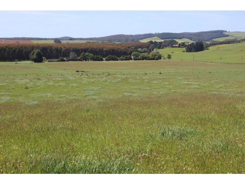 132 Maguires Road, Nabageena TAS 7330
