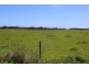 132 Maguires Road, Nabageena TAS 7330