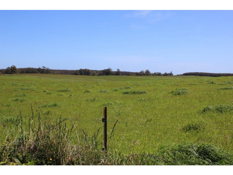 132 Maguires Road, Nabageena TAS 7330