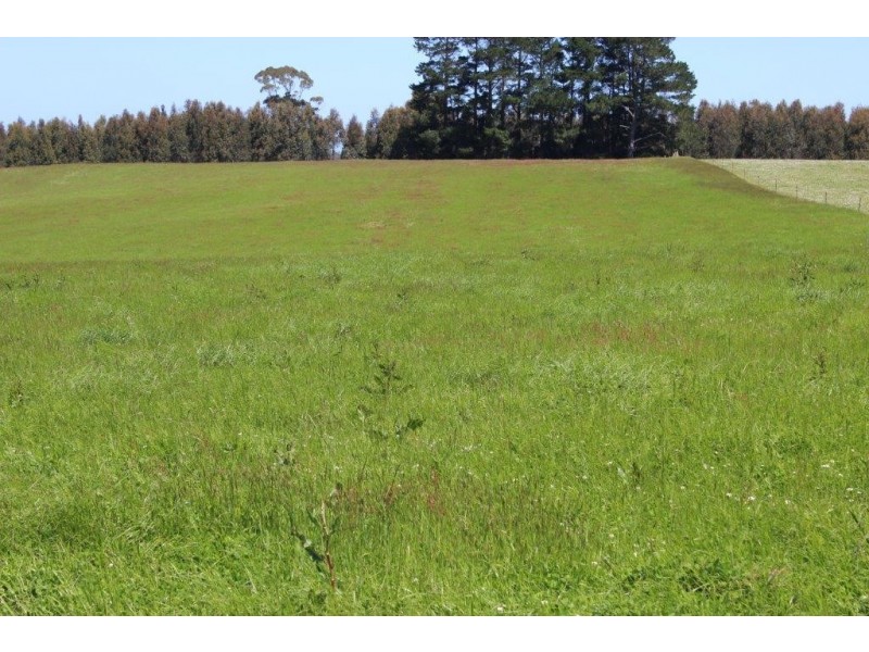 132 Maguires Road, Nabageena TAS 7330