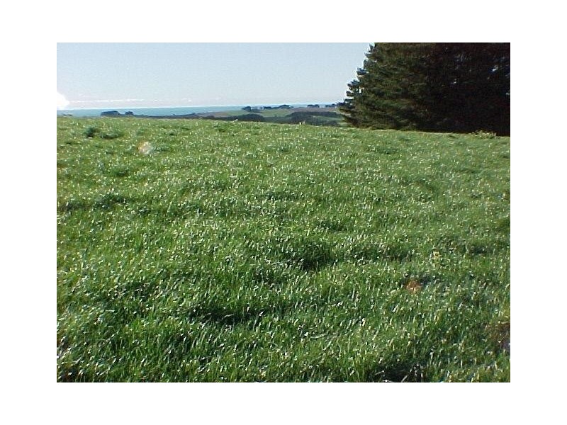 69 Marshalls Road, Flowerdale TAS 7325