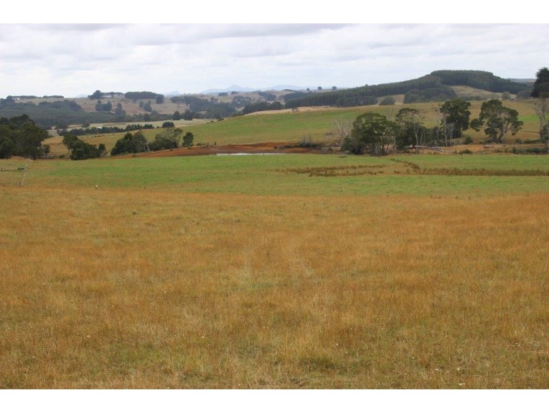 1353 Oldina Road, Oldina TAS 7325