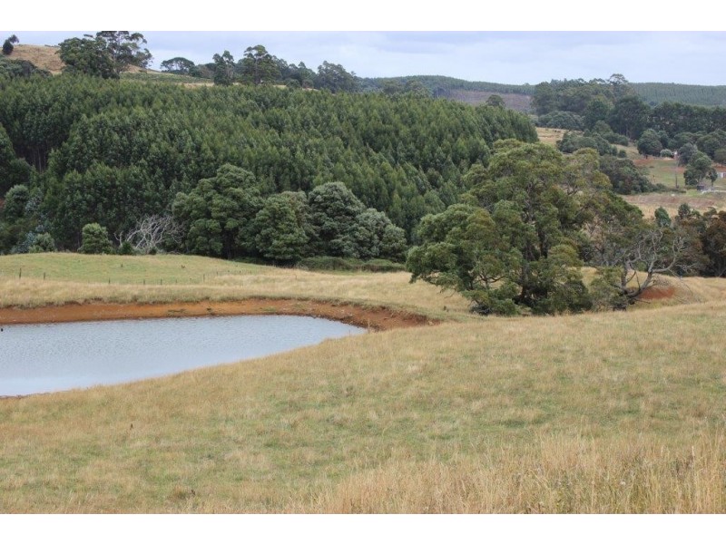 1353 Oldina Road, Oldina TAS 7325