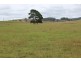 1353 Oldina Road, Oldina TAS 7325