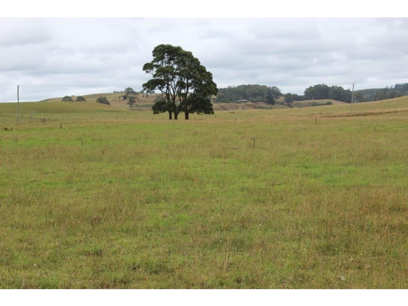 1353 Oldina Road, Oldina TAS 7325