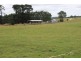 1353 Oldina Road, Oldina TAS 7325