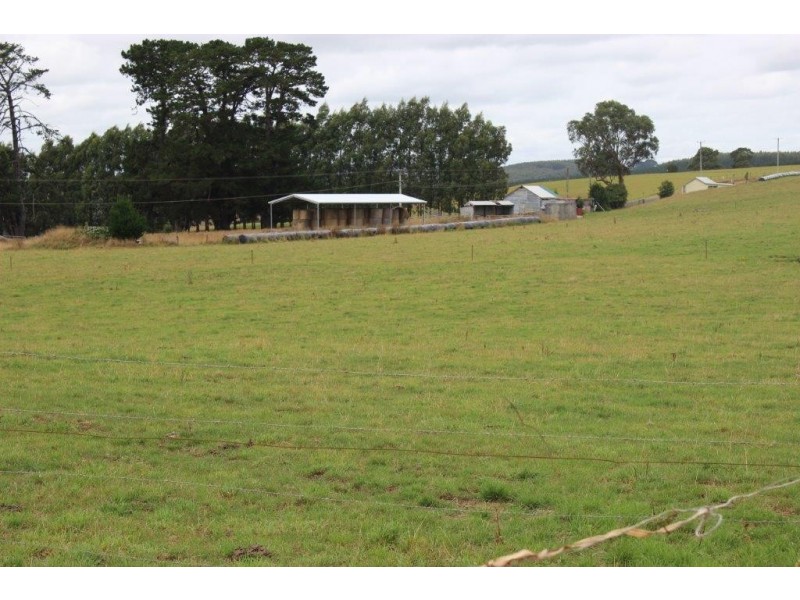 1353 Oldina Road, Oldina TAS 7325
