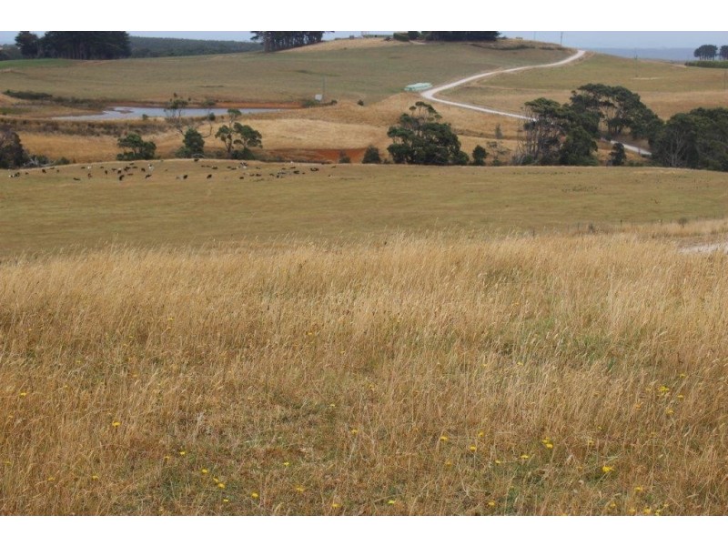 592 South Road, Alcomie TAS 7330