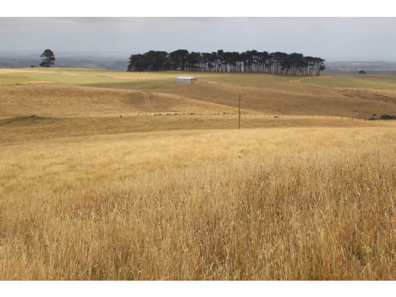 592 South Road, Alcomie TAS 7330