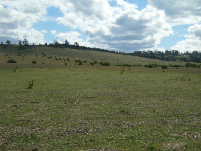 . Orielton Road, Orielton TAS 7172