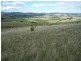 . Orielton Road, Orielton TAS 7172