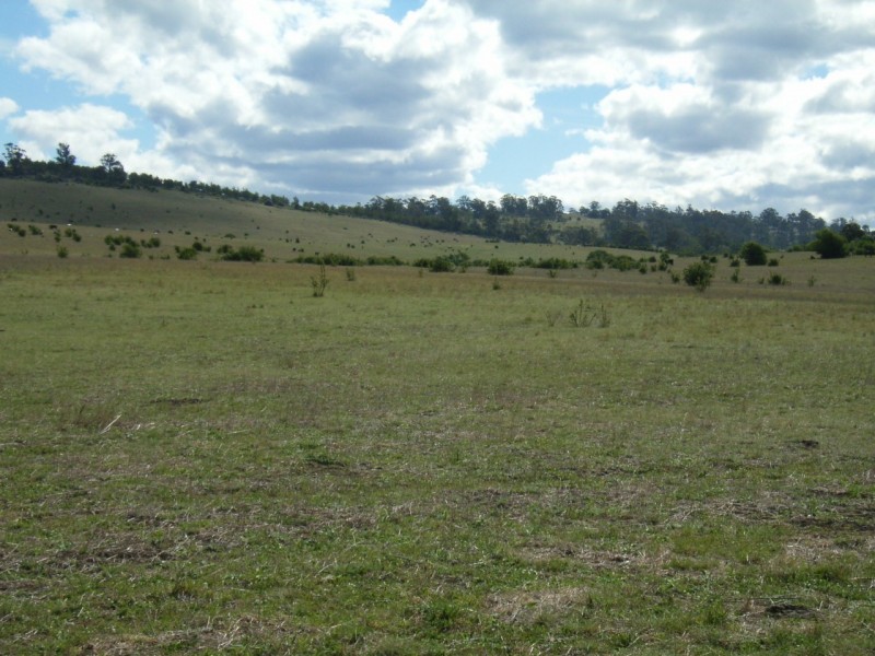 . Orielton Road, Orielton TAS 7172