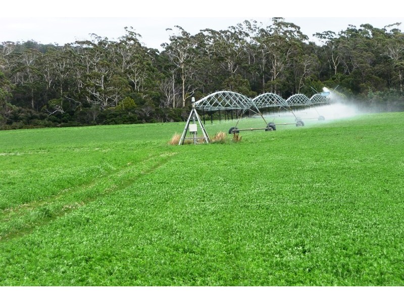 83 Annie Street, St Helens TAS 7216