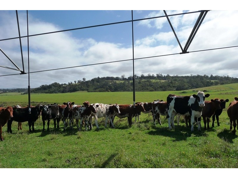 83 Annie Street, St Helens TAS 7216