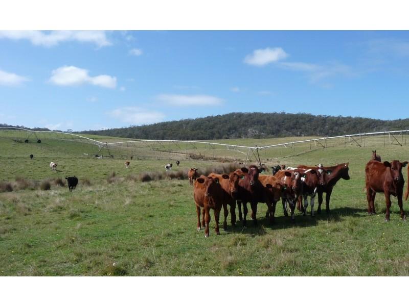 83 Annie Street, St Helens TAS 7216