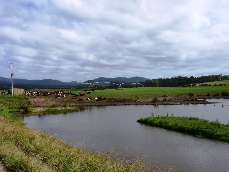 83 Annie Street, St Helens TAS 7216