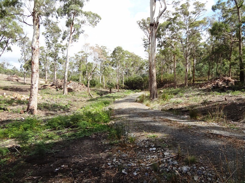 1907 East Tamar Highway, Dilston TAS 7252