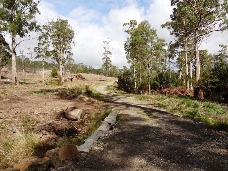 1907 East Tamar Highway, Dilston TAS 7252