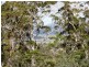 1907 East Tamar Highway, Dilston TAS 7252