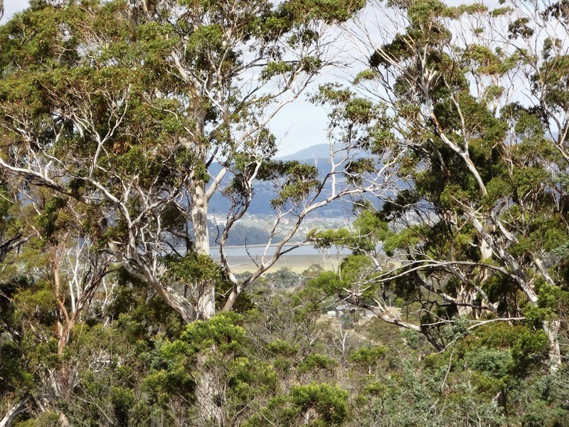 1907 East Tamar Highway, Dilston TAS 7252