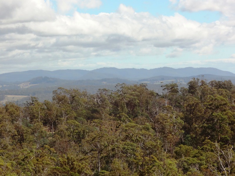 1907 East Tamar Highway, Dilston TAS 7252