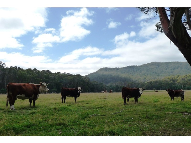 50 Clover Banks Road, St Marys TAS 7215