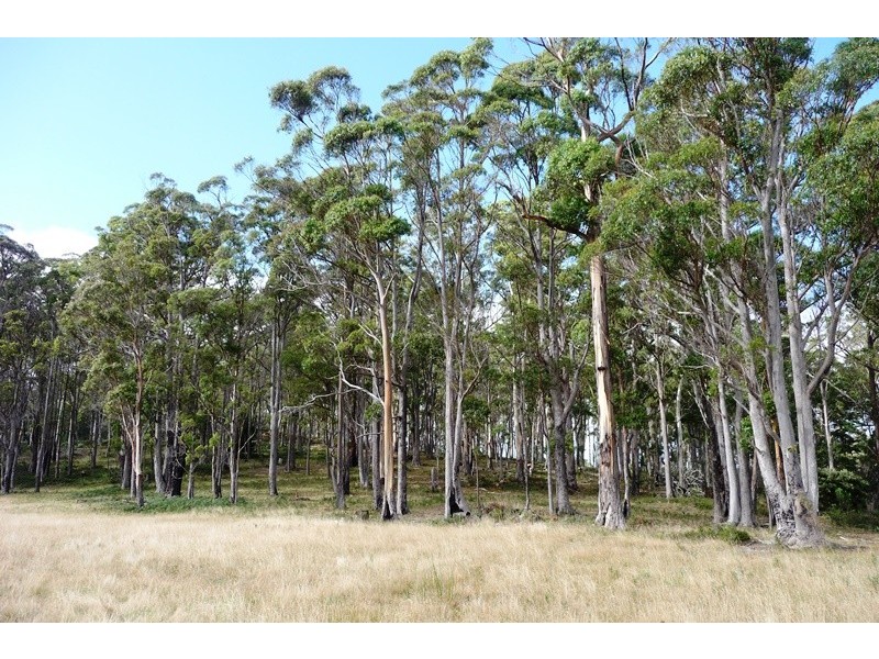 50 Clover Banks Road, St Marys TAS 7215