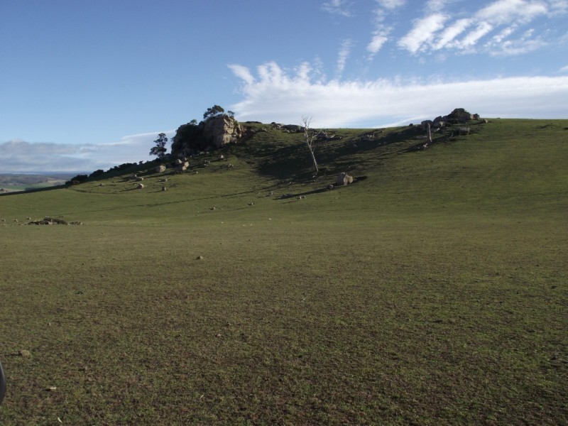 208 Pawtella Road, Pawtella TAS 7120